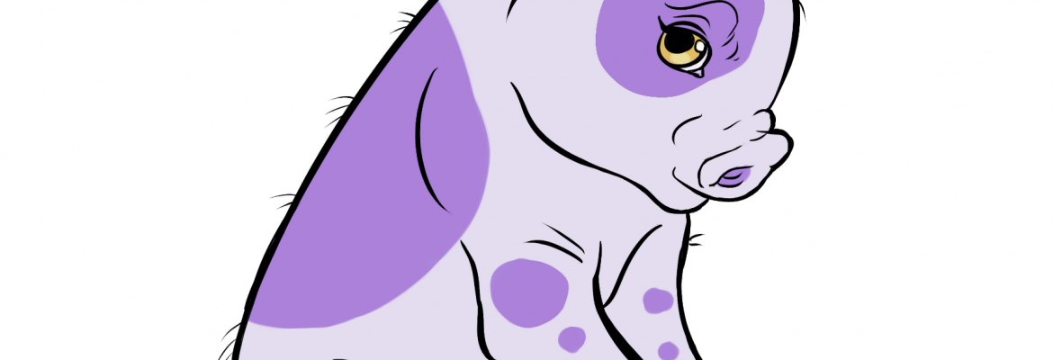 Triangle Vegfest