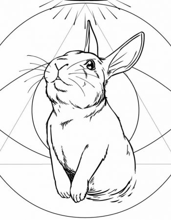 Rabbits Cafe