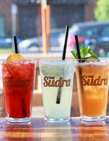The Sudra